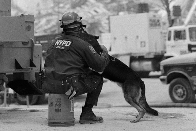 Hommage aux Chiens héros du 11 septembre