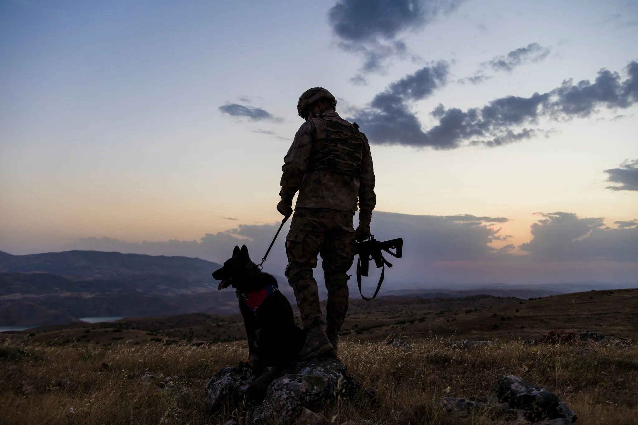 14 juillet chien de service