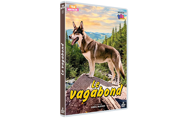 Le Vagabond revient en DVD : redécouvrez le célèbre berger allemand de la série culte
