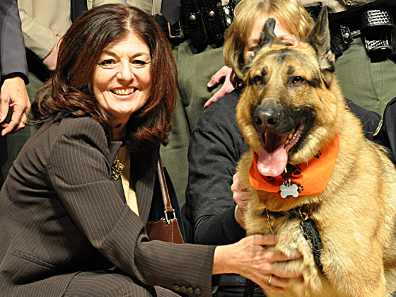 Maria Dalesa courage chien