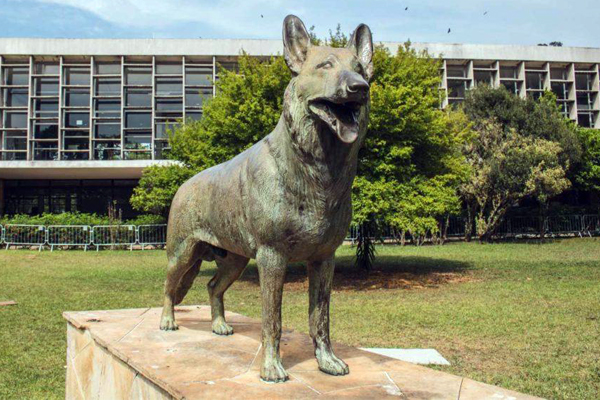 La statue du Berger Allemand du parc d’Ibirapuera