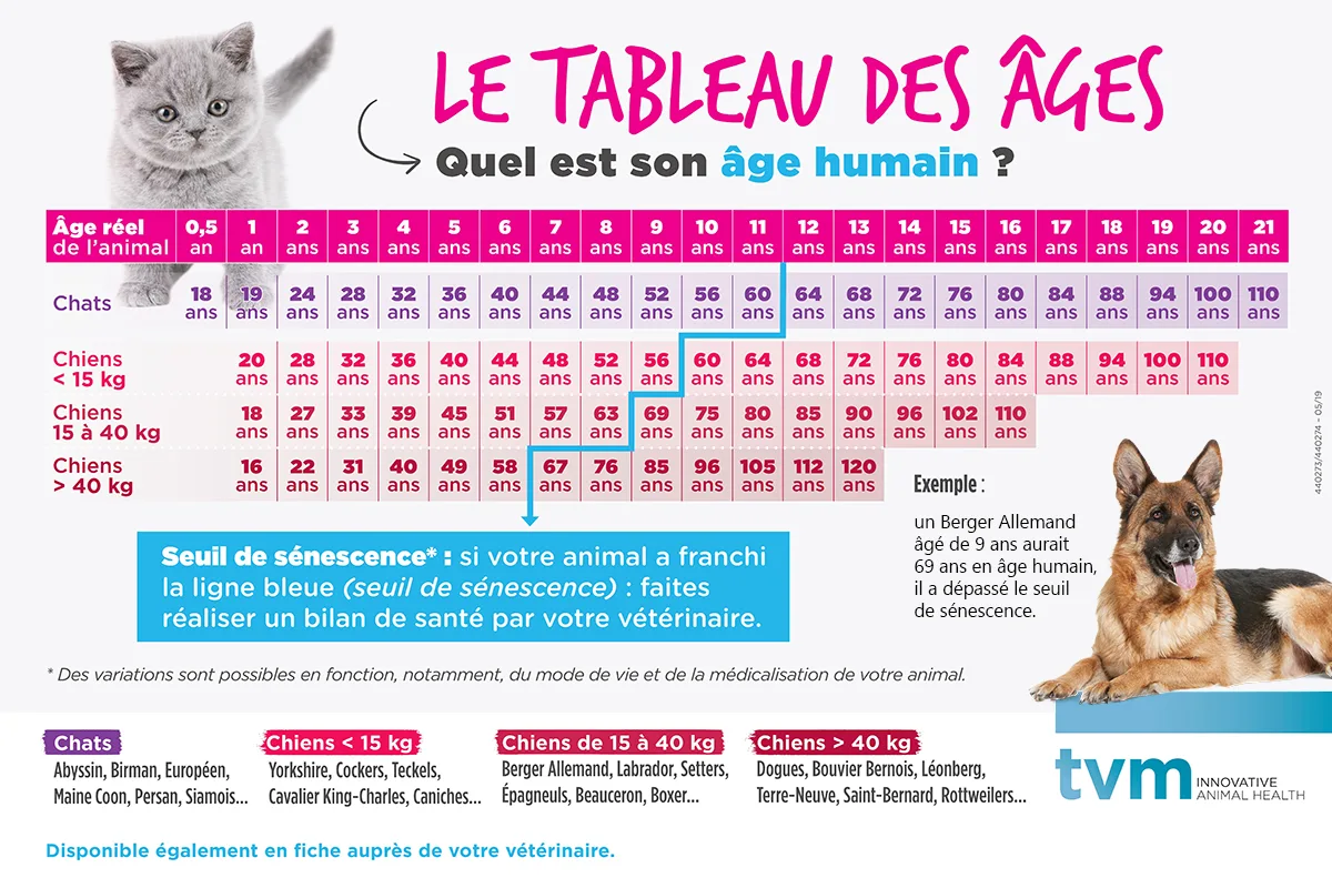 Calculer l'âge humain de mon chien — free download