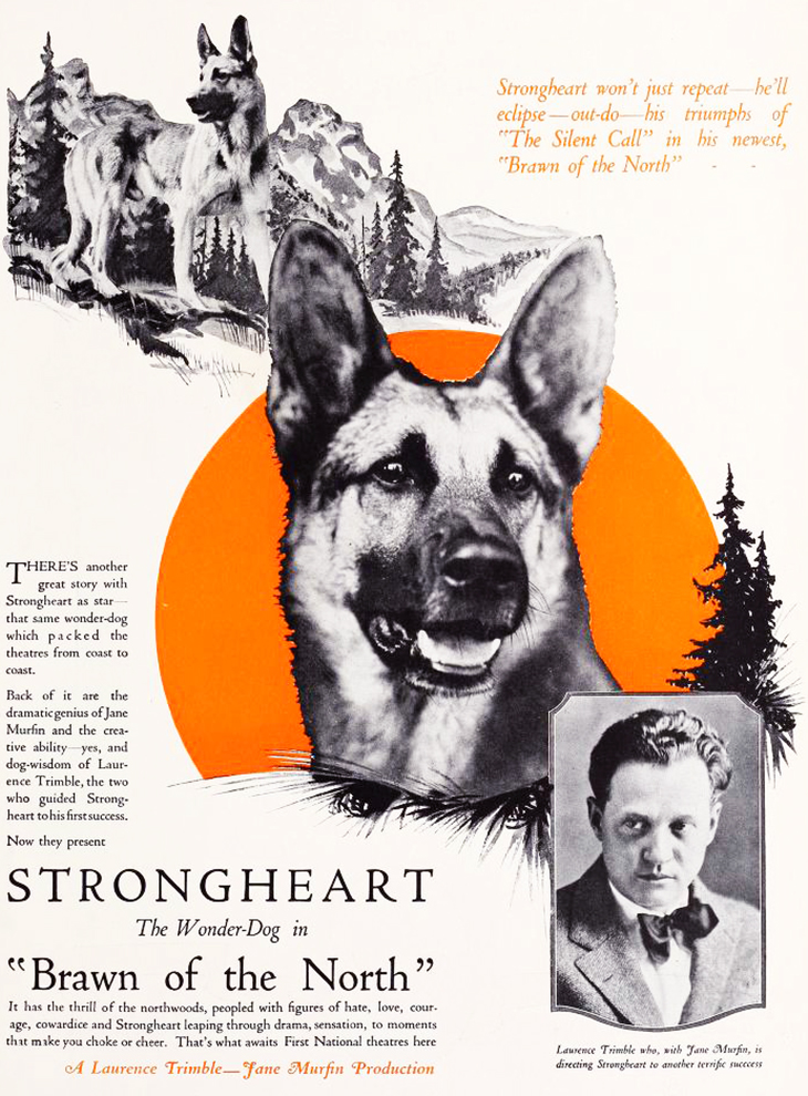STrongheart 1922 Brawn of the North