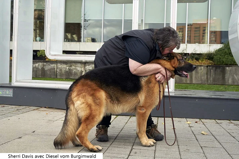 Sherri Davis  Diesel