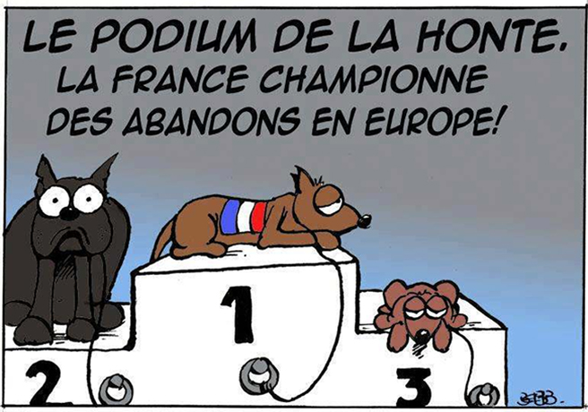 Abandons d’animaux : la France sur le podium de la honte