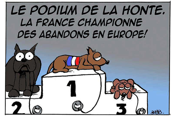 Abandons d’animaux : la France sur le podium de la honte
