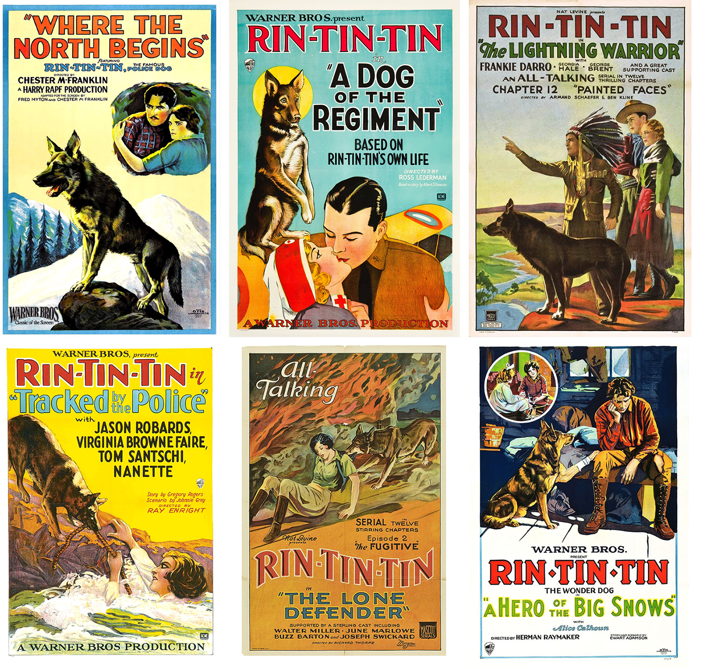 affiches cinema rintintin