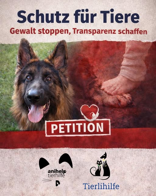 Aiko sauvagement battue à mort par son adoptant dans le canton de Berne