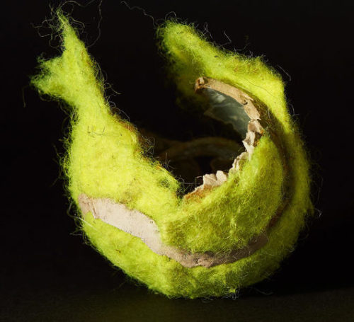 dog tennis ball