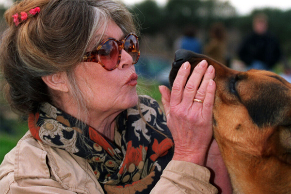 Brigitte Bardot, une vie dédiée aux animaux.
