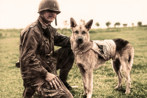 24 Février : Journée Internationale des Animaux de Guerre
