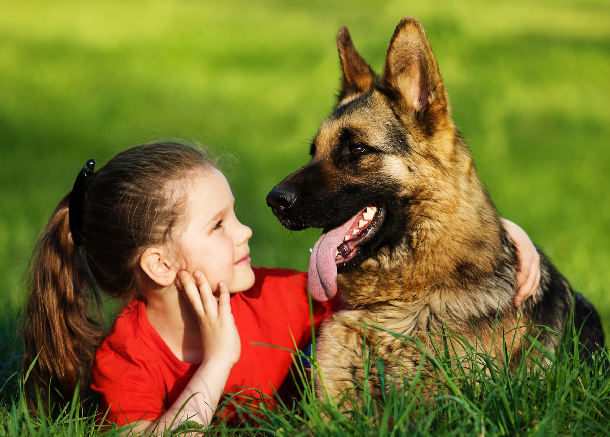 German Shepherd and children