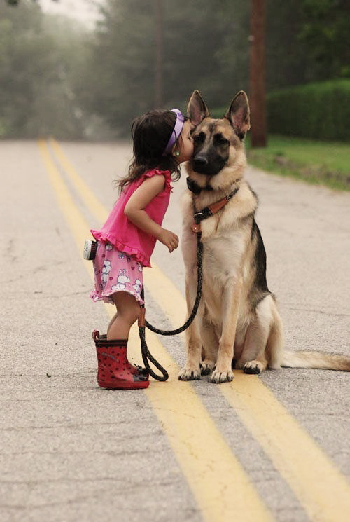 German Shepherd and children