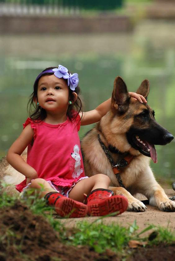 German Shepherd and children