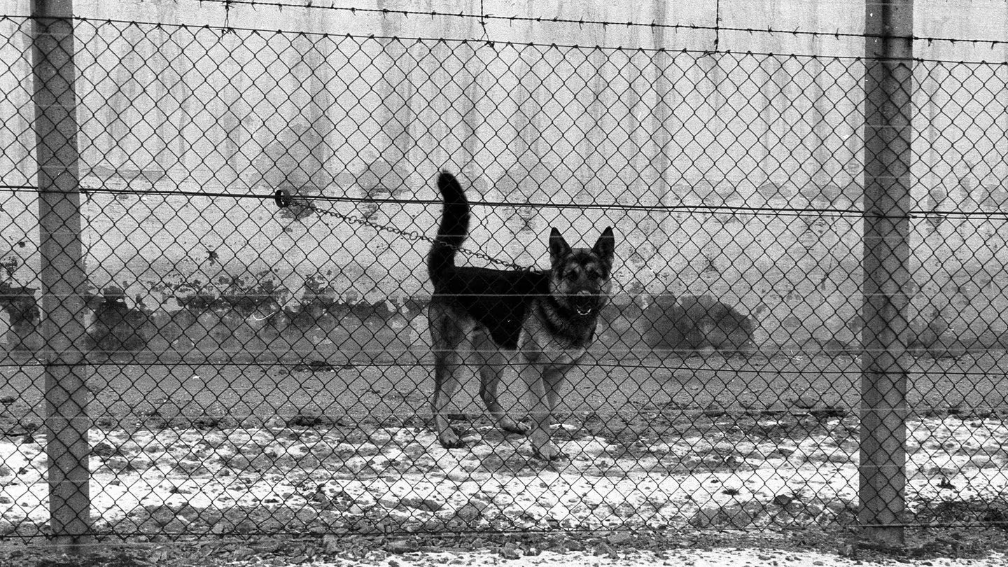 berger allemand mur berlin