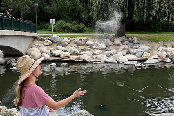 Les cendres dispersées de son chien dans le vent prennent une forme miraculeuse