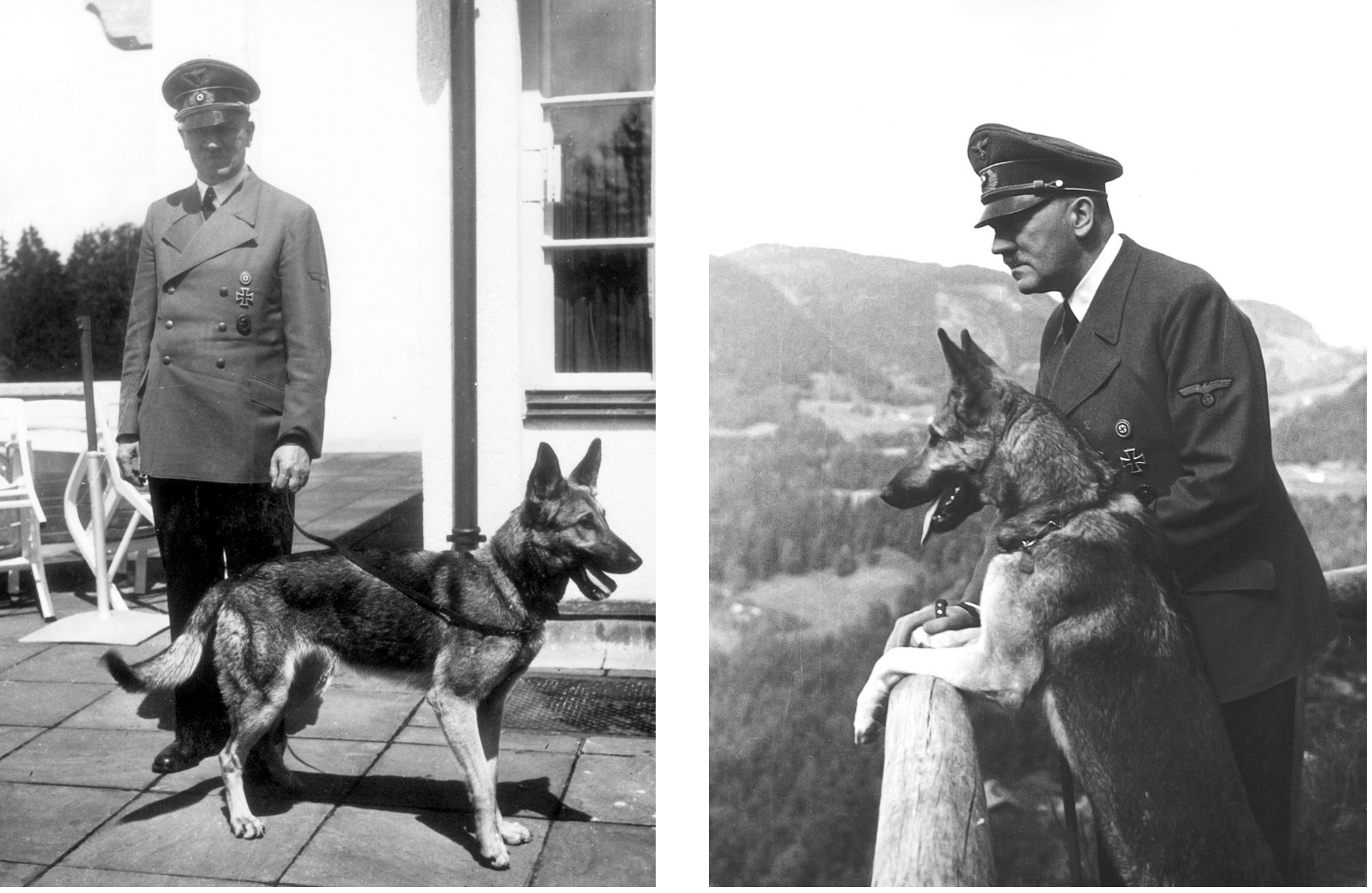 blondi hitler