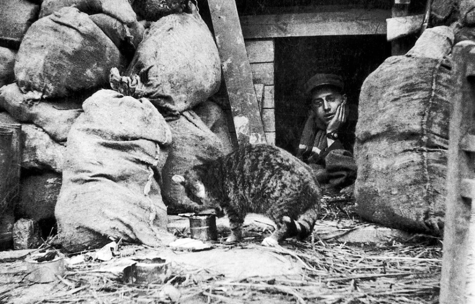 Soldat français nourrissant un chat dans les tranchées -1915