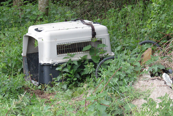 Un chien décédé près de sa cage de transport. (Montérolier - Buchy)
