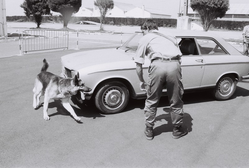 chien douanes anti drogue 1984