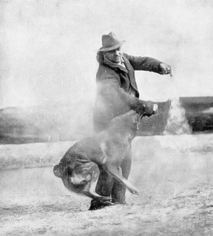 chien policier 1913 2
