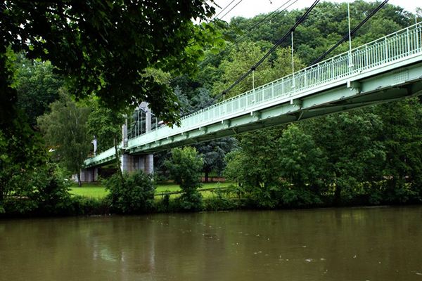 Ils plongent dans la Meuse pour secourir un berger allemand en proie à la noyade.