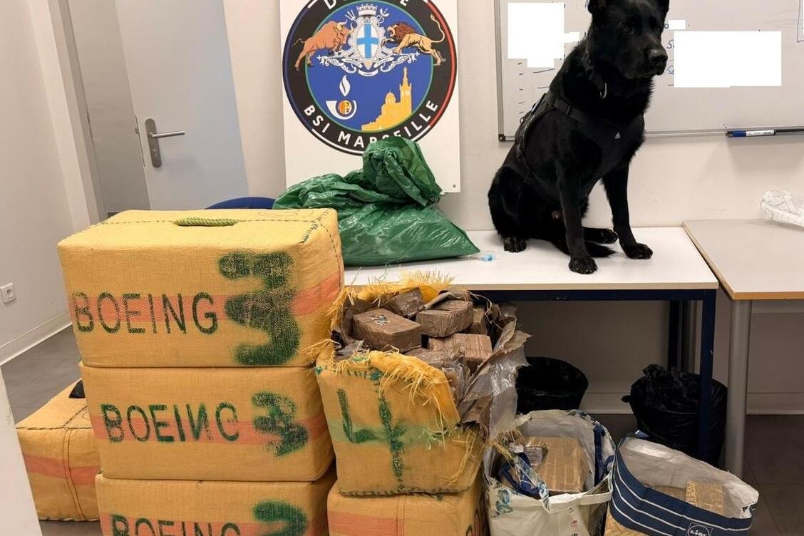 Grâce au flair d’un berger allemand, 356 kg de drogue saisis au péage d’Arles