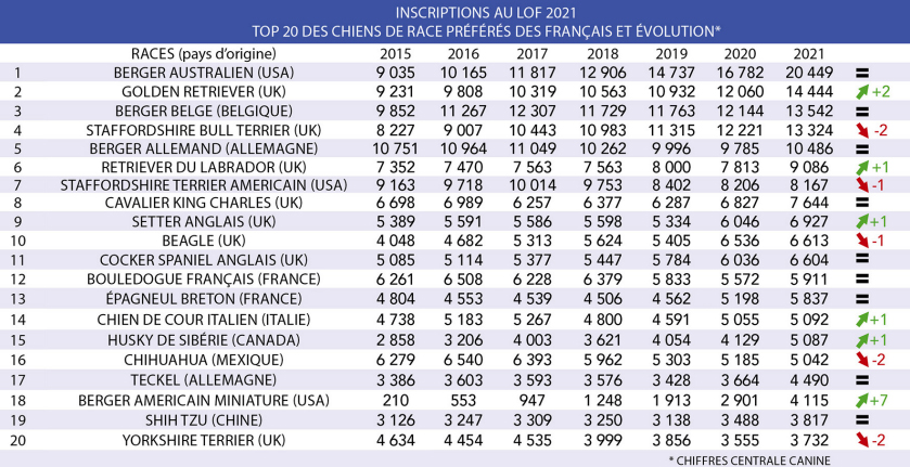 chiens preferes des francais 2021