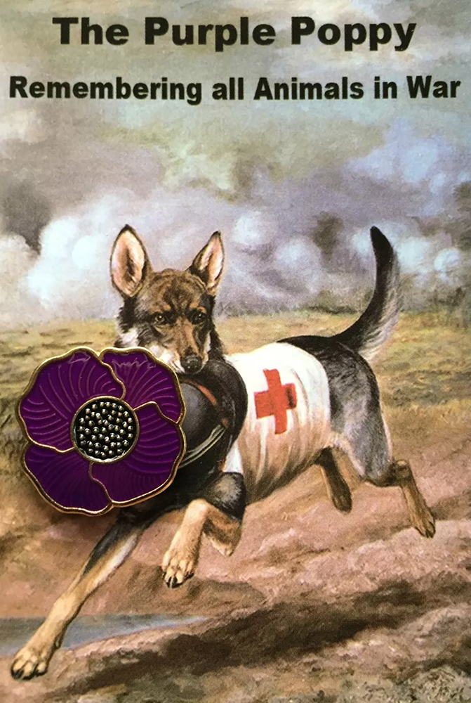 coquelicot violet 01