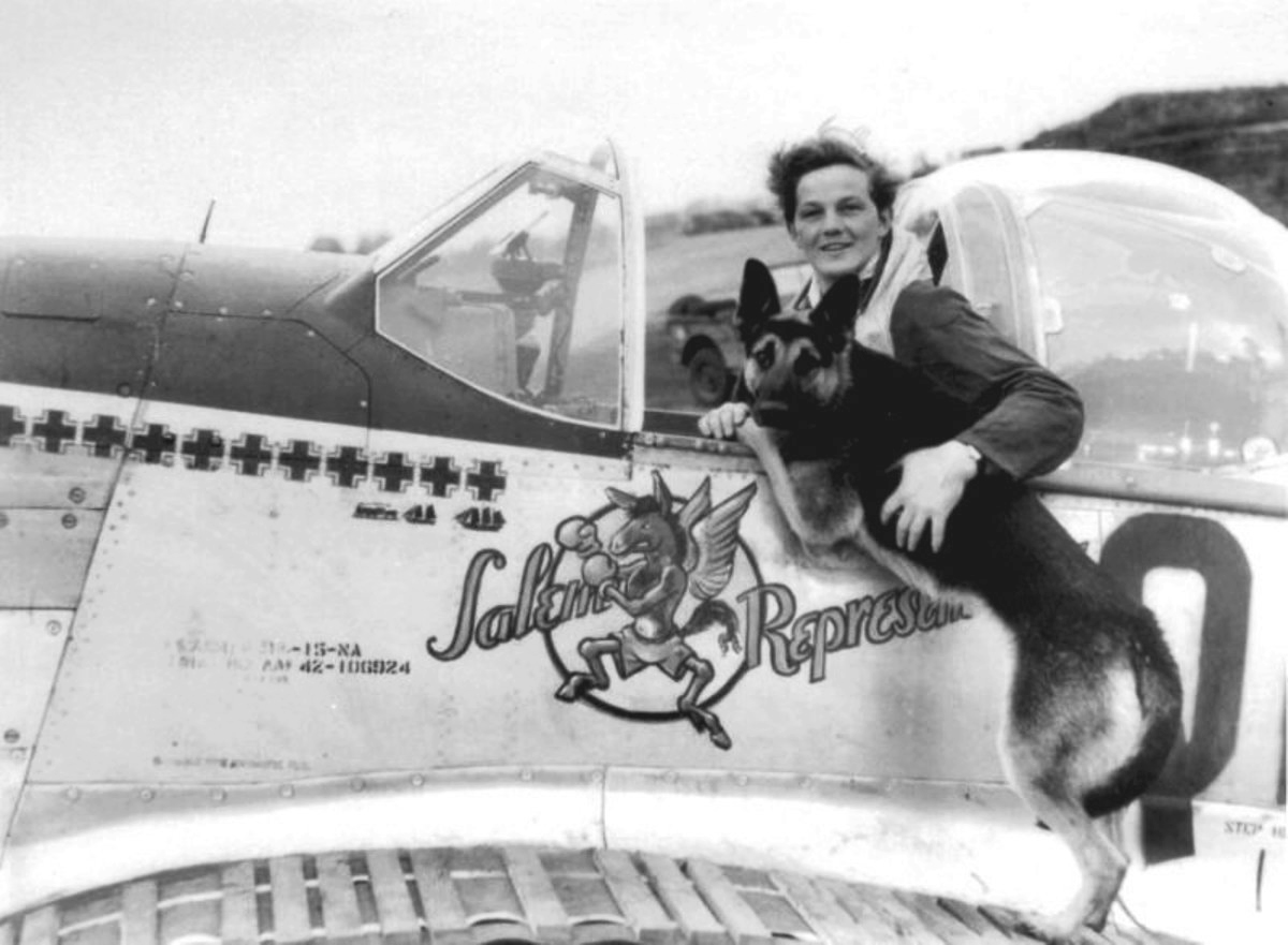 Duke. Un chien berger allemand mascotte de la Seconde Guerre mondiale.