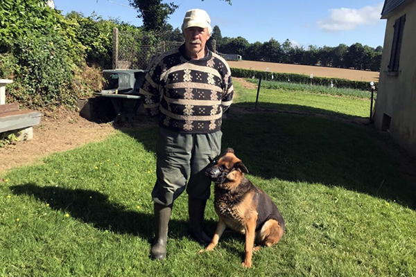 Côtes-d’Armor : une chienne sauve un enfant blessé et devient une héroïne locale