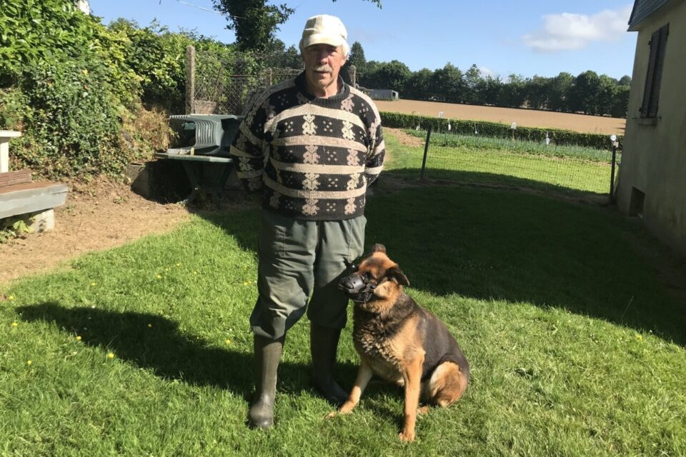 Côtes-d’Armor : une chienne sauve un enfant blessé et devient une héroïne locale