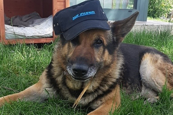 Retraite pour Félix Chien Gendarme