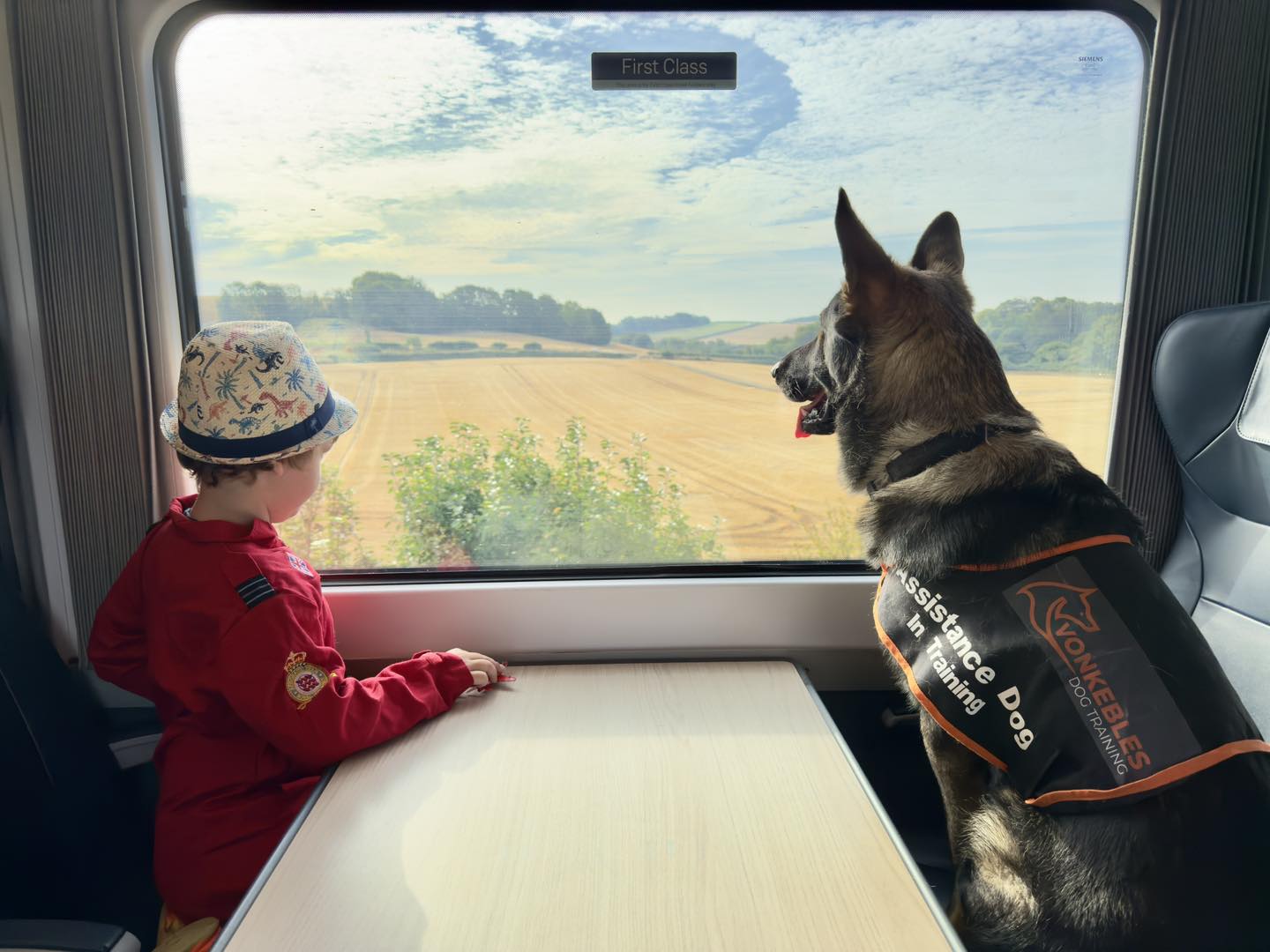 L’amitié extraordinaire entre un garçon autiste et son chien Frank