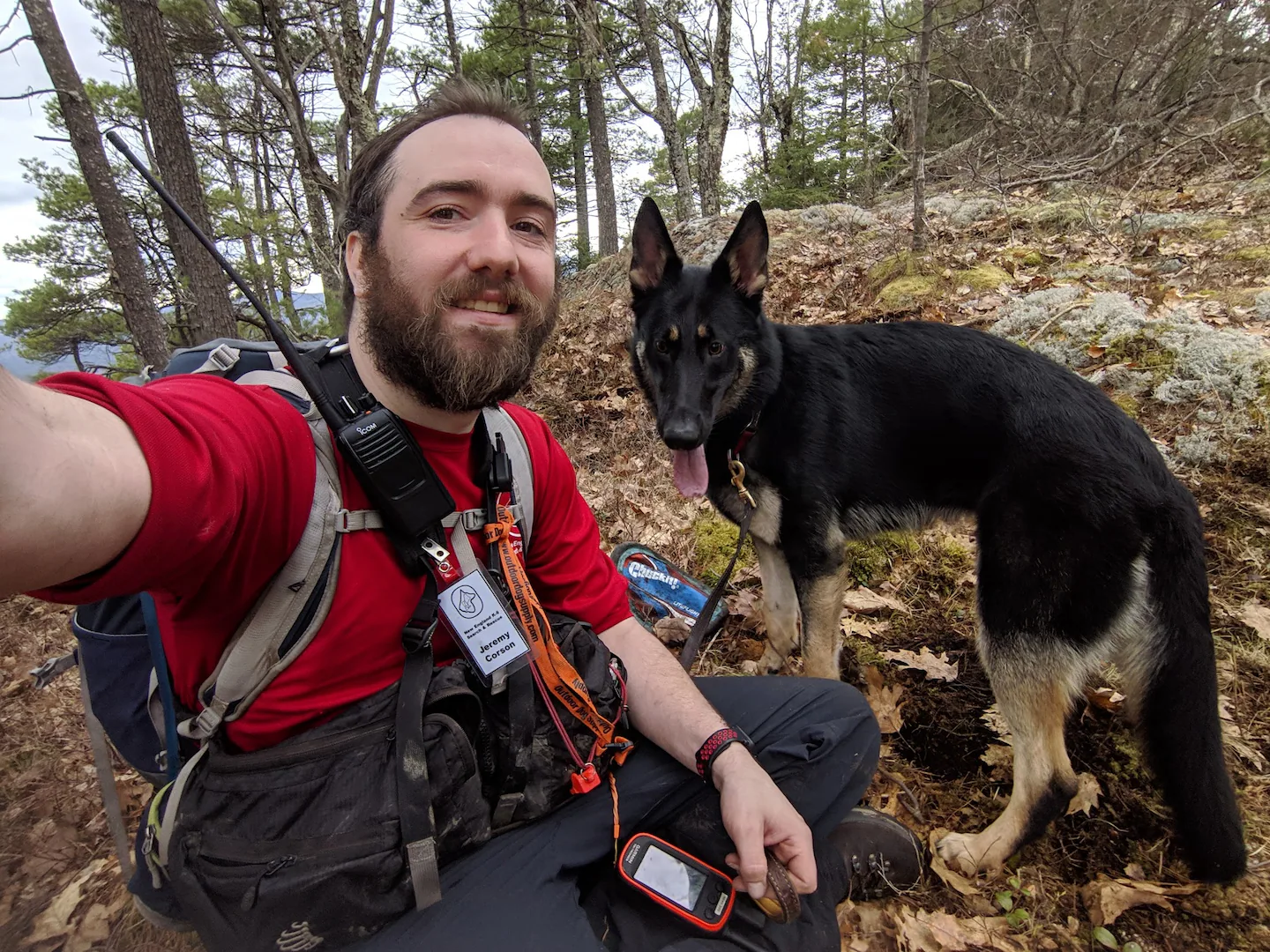 Une fillette sauvée grâce à un berger allemand