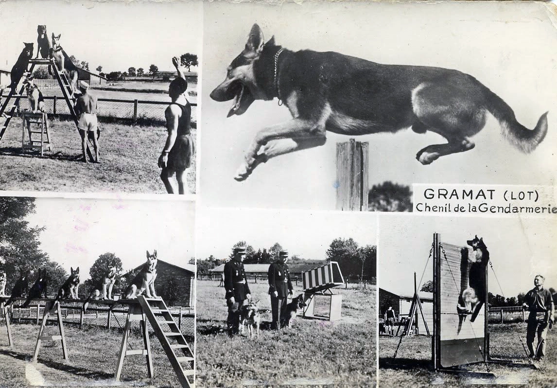 Le chenil de Gramat : une page d’histoire de la gendarmerie