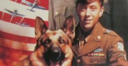 1990 chips the war dog
