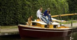 2010 truffe et les voleurs