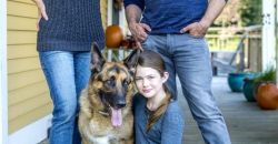 2014 une bonne etoile pour noel film