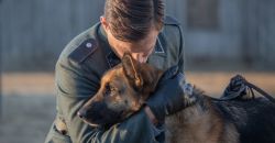 2019 shepherd the hero dog