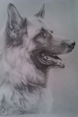 artwork berger allemand