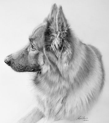 artwork berger allemand