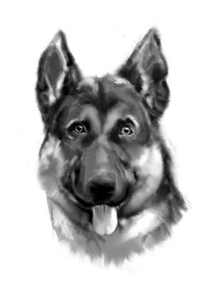 artwork berger allemand