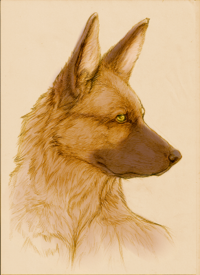 artwork berger allemanda