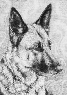 artwork berger allemand