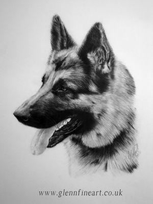 artwork berger allemand