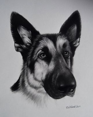 artwork berger allemand