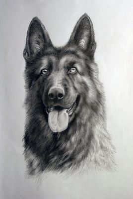 artwork berger allemand