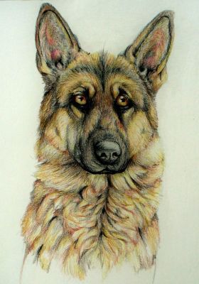 artwork berger allemand