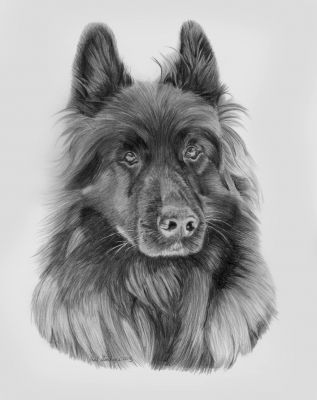 artwork berger allemand